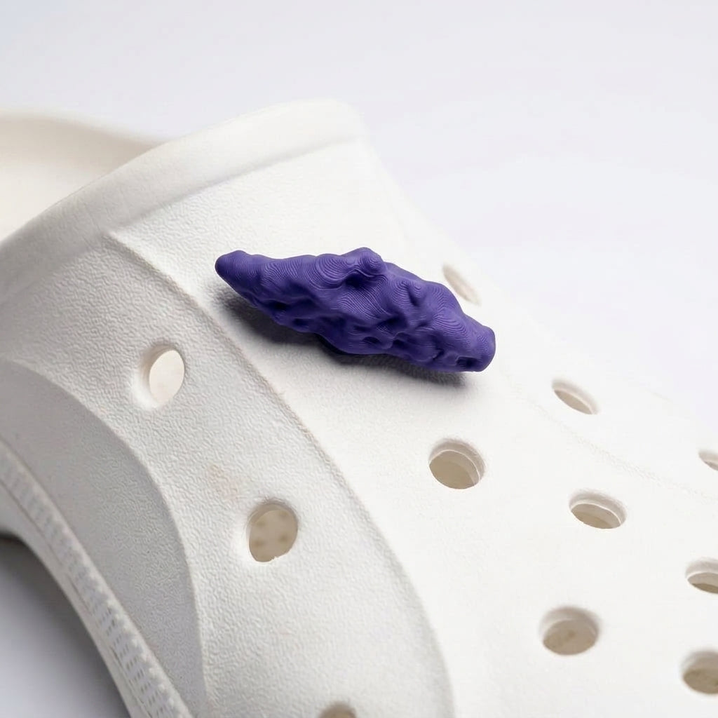 Shoe Charm