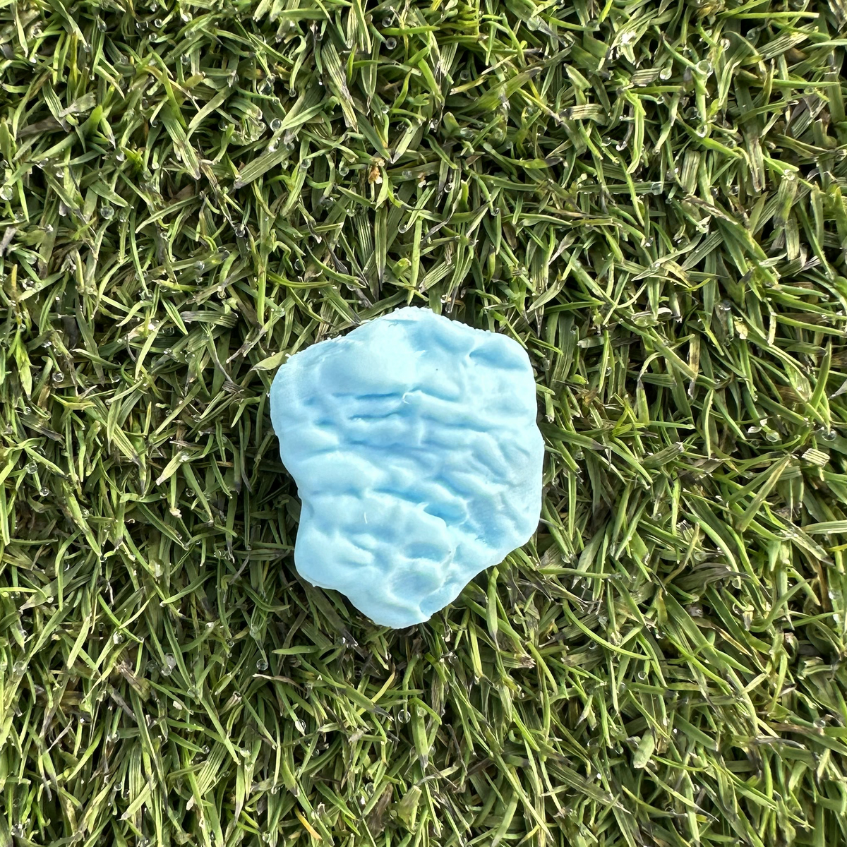 Golf Ball Marker