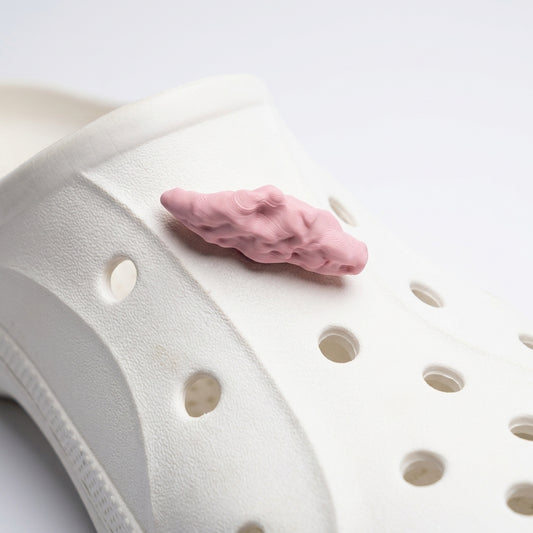 Shoe Charm